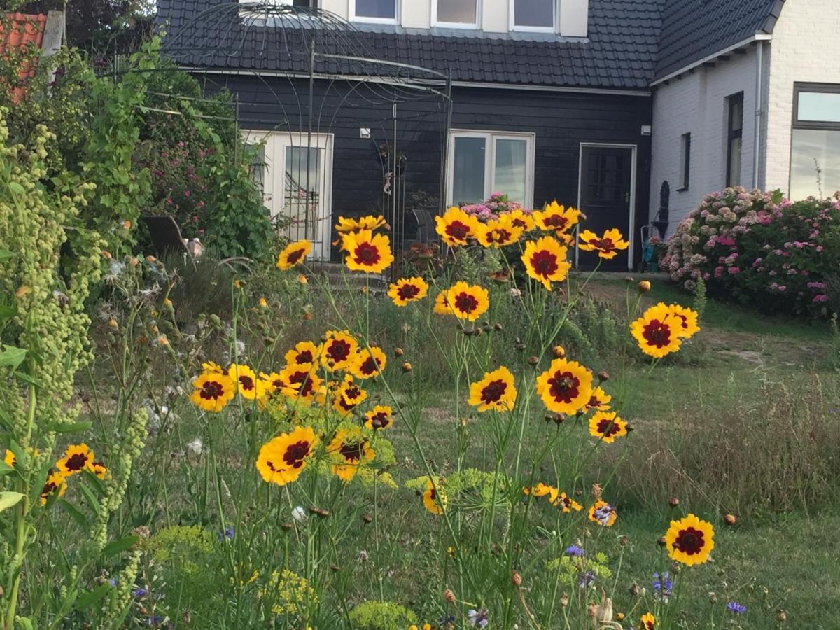 T Huuske Tuinappartement Met Fantastisch Uitzicht, Nabij Zee Zonnemaire Kültér fotó