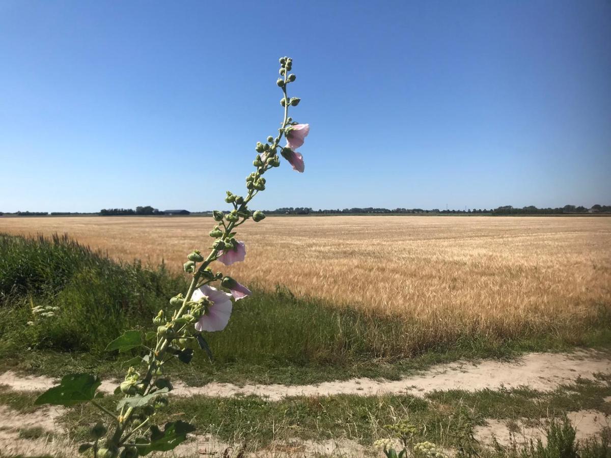 T Huuske Tuinappartement Met Fantastisch Uitzicht, Nabij Zee Zonnemaire Kültér fotó