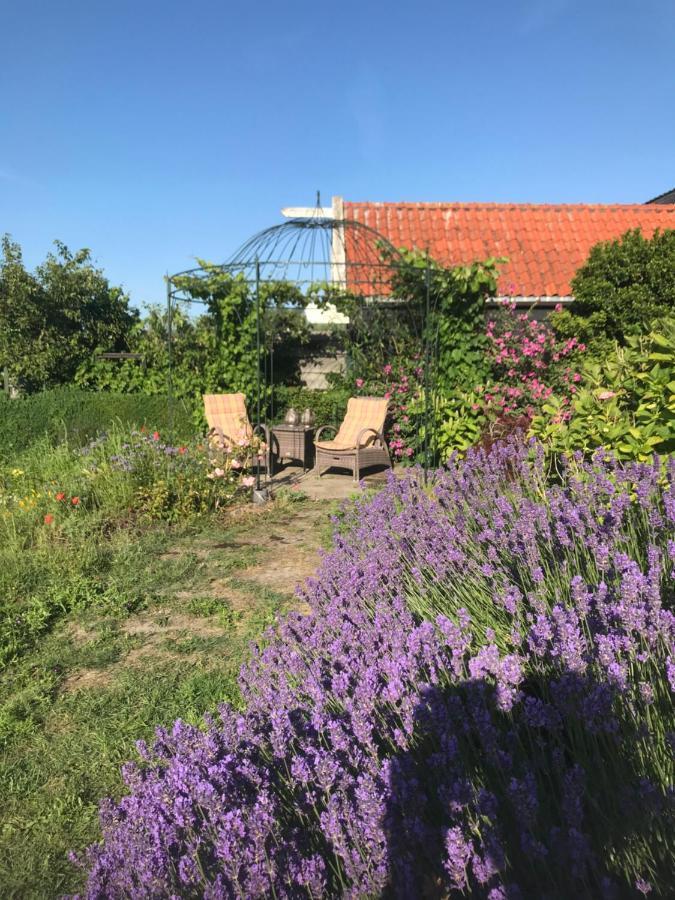 T Huuske Tuinappartement Met Fantastisch Uitzicht, Nabij Zee Zonnemaire Kültér fotó
